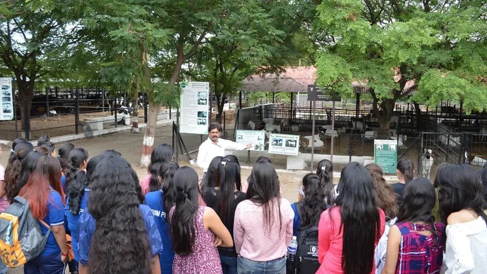 Baramati_7
