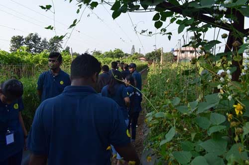 Nashik_6