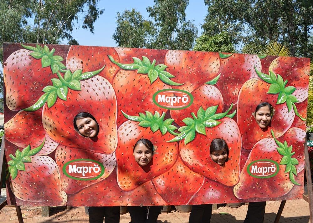Mapro Foods Pvt. Ltd_4